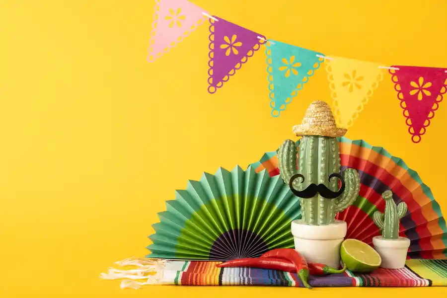 Mexican houses design